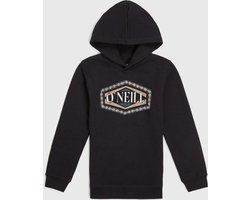 O'neill Truien O'NEILL FRONT PRINT HOODIE