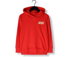 Raizzed Sweater-Nulato Jongens Trui - Maat 152