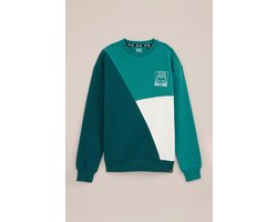 WE Fashion Jongens sweater met colourblock