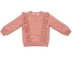 Little Dutch Trui Meisje - Maat 104 - Trui Volants - Kinderkleding Meisjes - Roze - Biologisch Katoen - Little Farm Warm Pink