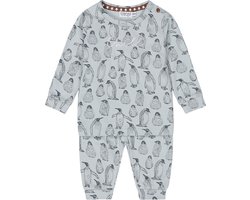 Dirkje Q- Boys arctic Jongens Pyjamaset - Maat 110/116