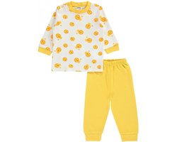 Baby/peuter pyjama jongens Leeuw - Babykleding