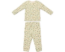 Little Dutch Forest Leaves - Jongens - Pyjama Tweedelig - Maat 74/80