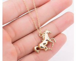 Akyol - ketting met een paard - horse - ketting hoefijzer - sieraden paard - goud kleurig - paarden liefhebber - verjaardagscadeau voor je vriendin - ketting- paard ketting - hoefijzer ketting -ketting cadeau -ketting kado