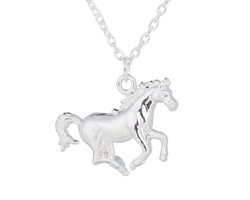 Akyol - ketting met een paard - horse - ketting hoefijzer - sieraden paard - zilver kleurig - paarden liefhebber - verjaardagscadeau voor je vriendin - ketting- paard ketting - hoefijzer ketting -ketting cadeau -ketting kado