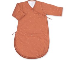 BEMINI Babyslaapzak - MAGIC BAG 1-4m - TOG 3 - Pady jersey + jersey - Mini print caramel