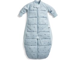 Ergopouch Sleepsuit Slaapzak - 3,5 Tog - Slaapzak baby - Slaapzakken - Slaapzak kind winter - 2-4 jaar - Dragonflies