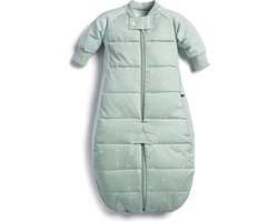 Ergopouch Sleepsuit Slaapzak - 3,5 Tog - Slaapzak baby - Slaapzakken - Slaapzak kind winter - 2-4 jaar - Sage