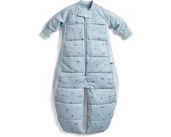 Ergopouch Sleepsuit Slaapzak - 3,5 Tog - Slaapzak baby - Slaapzakken - Slaapzak kind winter - 4-6 jaar - Dragonflies