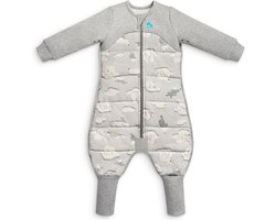 Love To Dream™ Slaappak – Pyjama en dekbed in 1 - Peuter 12-24 mnd – Winter extra warm – Grey