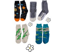 Nature Planet -kindersokken - set van 4 paar sokken - t-rex - heelal - gekko - schildpad (100% Oeko-tex gecertificeerd) maat 29-34