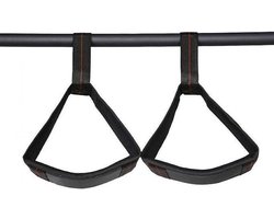 Lifemaxx Hanging Ab Strap