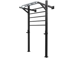 Toorx Professional LDX-5000 Wallbar - Staal - Wandrek - 5 Sporten - met J-hooks en Optrekstang