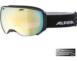 Alpina Big Horn QV Photochromic Skibril - Zwart | Categorie 2-3